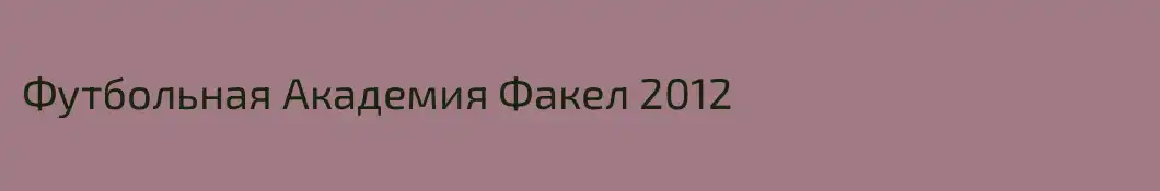Футбольная Академия Факел 2012